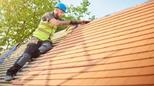 Best Roof Moss and Algae Removal  in Dayton, OR